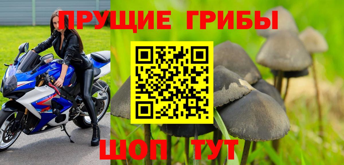 Каменка  купить  цена  Псилоцибиновые грибы Psilocybine cubensis  Вход с VPN  Галлюциногенные грибы мухоморы 